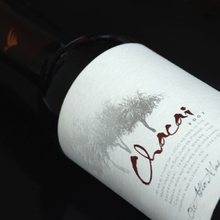Viña William Fevre - Chacai Viña William Fevre - Chacai